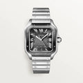 Cartier Santos Stainless Steel Men’s Watch, WSSA0037 1