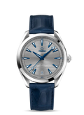 Seamaster Aqua Terra 150m Grey 41mm 1