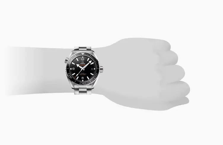 Omega,Seamaster，PLANET OCEAN 600M CO‑AXIAL MASTER CHRONOMETER 43.5 MM 2